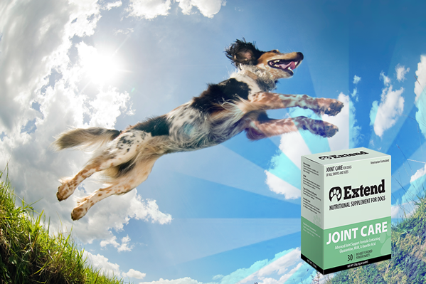 extend pet joint care for dogs